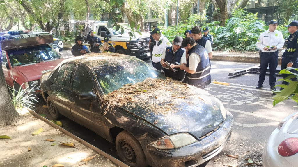 operativo de chatarrización libera calles de la Roma, Condesa, Hipódromo y Morelos