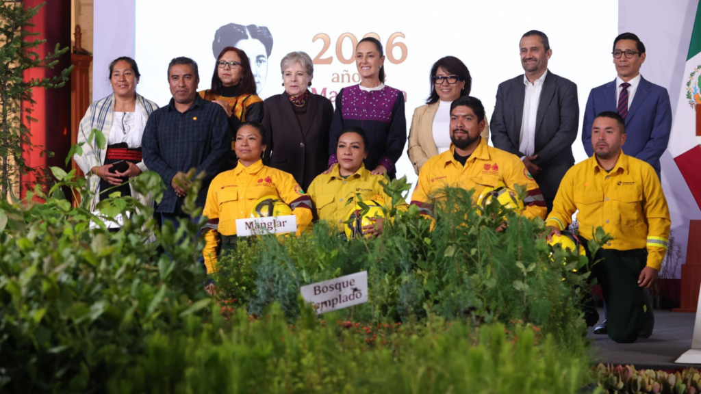 Arranca Jornada Nacional de Reforestación: buscan sembrar 6.6 millones de árboles; van contra tala ilegal
