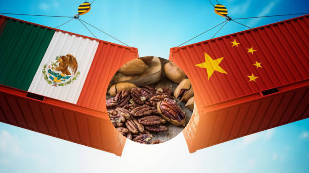 China impone cuotas de hasta 51.6% a nueces pecanas de México; Economía busca frenarlas