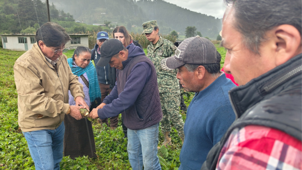 Edomex impulsa producción del pulque: entregan 10 mil ejemplares de agave