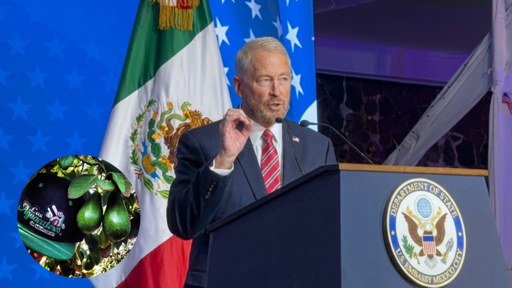 Aguacate mexicano: EE.UU reanuda actividades en Michoacán