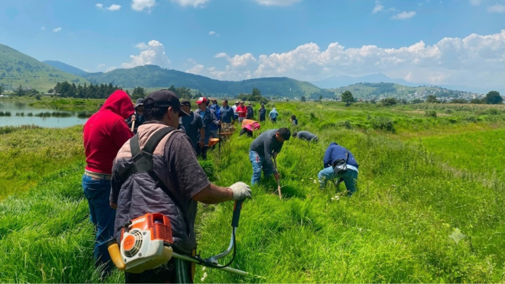 Gobierno de Toluca busca sembrar más de 80 mil árboles en áreas forestales; supera su meta de 50 mil