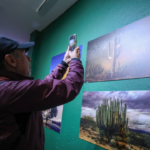 “Centinelas del Tiempo”, la exposición que retrata los árboles majestuosos de México llega a CDMX