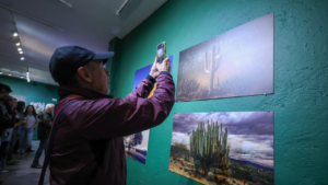 “Centinelas del Tiempo”, la exposición que retrata los árboles majestuosos de México llega a CDMX