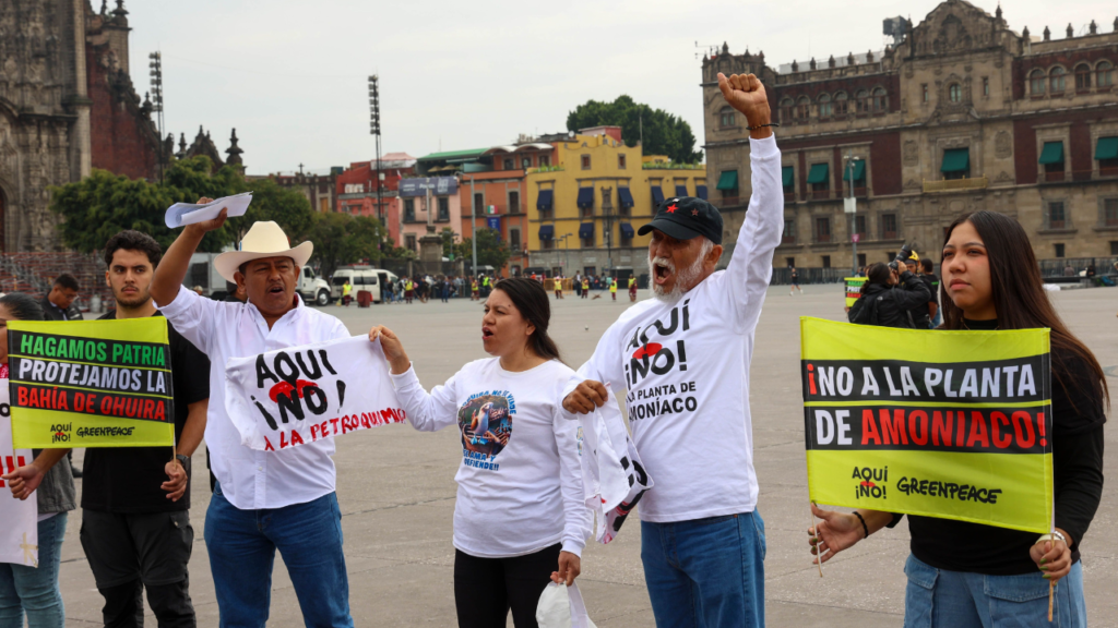 Greenpeace exige cancelar planta de amoniaco en Topolobampo; activistas protestan en el Zócalo