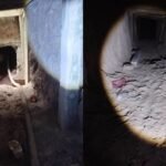 Hallan túnel con toma clandestina a Pemex en el Edomex; conecta el poliducto Tuxpan-Azcapotzalco