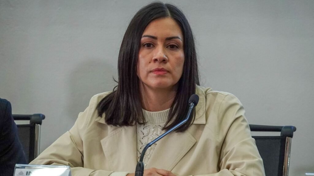 Blanca Cruz anuncia revisión de áreas clave del INE designadas durante gestión de Taddei