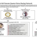 EU acusa a constructoras y gaseras de financiar campañas con dinero del Cártel del Noreste